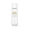 Goldwell - Dualsenses - Rich Repair Shampoo - Gallery 1