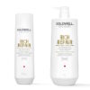 Goldwell - Dualsenses - Rich Repair Shampoo